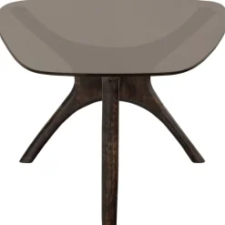 Beistelltisch FLASH 110 x 60 cm Mangoholz/Farbglas braun