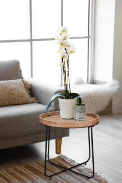 Beistelltisch JETTE Ø 66,5 x 58 cm Massivholz braun/schwarz