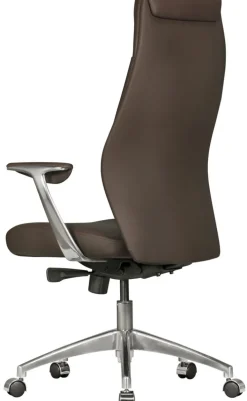 Chefsessel 67 x 125 cm braun