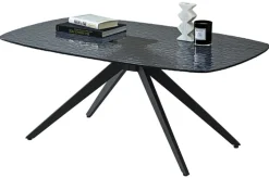 Couchtisch ELIAS 110x70 cm schwarz