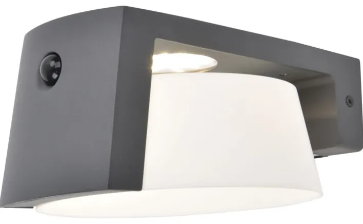 ECO-LIGHT LED Solar Außenwandleuchte MOON B anthrazit