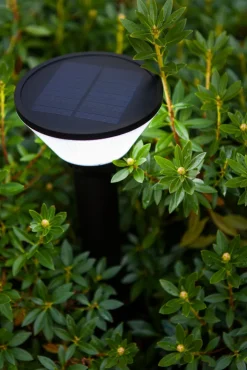 ECO-LIGHT LED Solar Wegeleuchte KARLO 45 cm schwarz