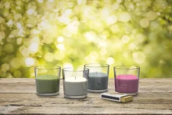 ENGELS KERZEN Outdoor Windlicht WILMA Eisrose