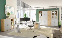 Glastür VARY 2er Set grau