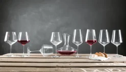 LEONARDO Dekanter DAILY