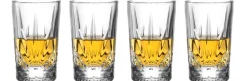 LEONARDO Schnapsglas CAPRI 4er Set transparent