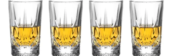 LEONARDO Schnapsglas CAPRI 4er Set transparent