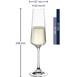 Leonardo Sektglas PALADINO Kristallglas 220 ml