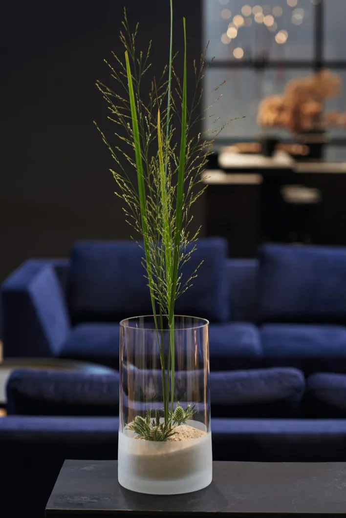 LEONARDO Vase NOVARA klar/satiniert