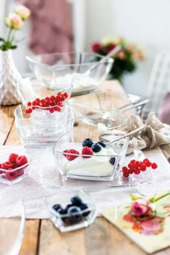 montana Schale CARRE 24 x 24 cm klarglas