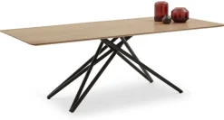 Musterring Esstisch HELMOND 200 x 100 cm Eiche braun/ schwarz