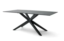 Musterring Esstisch TIAMA 200 x 100 cm Eiche massiv schwarz lackiert transparent