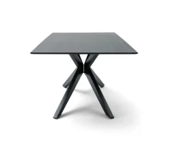 Musterring Esstisch TIAMA 200 x 100 cm Eiche massiv schwarz lackiert transparent