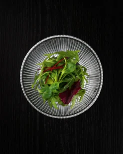 Nachtmann Schale APERITIVO 2er Set Kristallglas