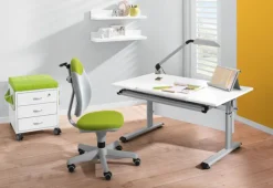 PAIDI Drehstuhl PEPE Stoffbezug grün/ weiß