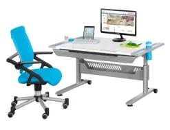 PAIDI Drehstuhl TIO SITNESS grau/ silbergrau