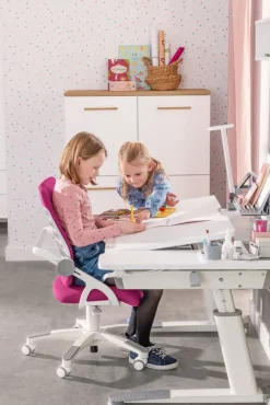 PAIDI Schreibtisch JARO Kreideweiß