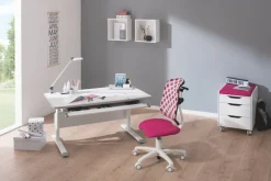 PAIDI Schreibtisch Kreideweiß