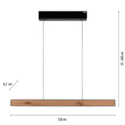 Paul Neuhaus LED Balkenpendel PURE E-MOTION 2-flg schwarz