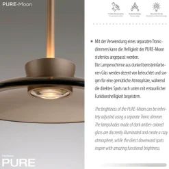 Paul Neuhaus LED Balkenpendel PURE MOON 3-flg bronze