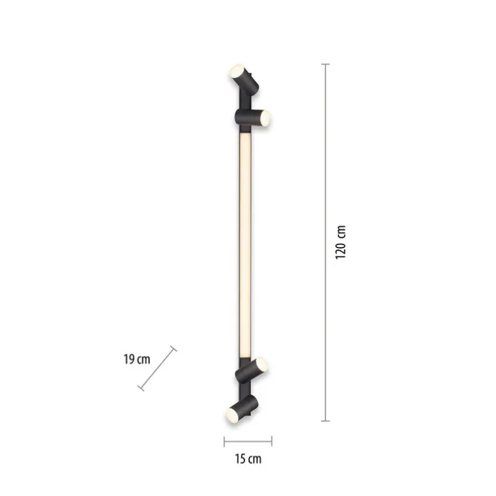 Paul Neuhaus LED Deckenlampe mit 4 Spots PURE-LINES anthrazit