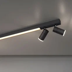 Paul Neuhaus LED Deckenlampe mit 4 Spots PURE-LINES anthrazit