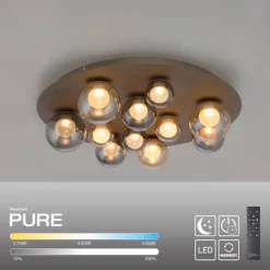 Paul Neuhaus LED Deckenlampe PURE POPUP Glas Ø 60 x 17 cm dimmbar Japandi Broncefarbig/Rauchfarbig & Amber