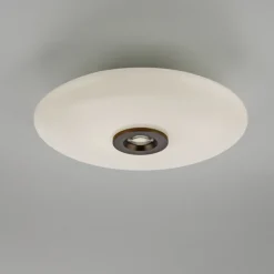 Paul Neuhaus LED Deckenlampe PURE VITRUM 45 cm braun