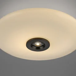 Paul Neuhaus LED Deckenlampe PURE VITRUM 45 cm braun