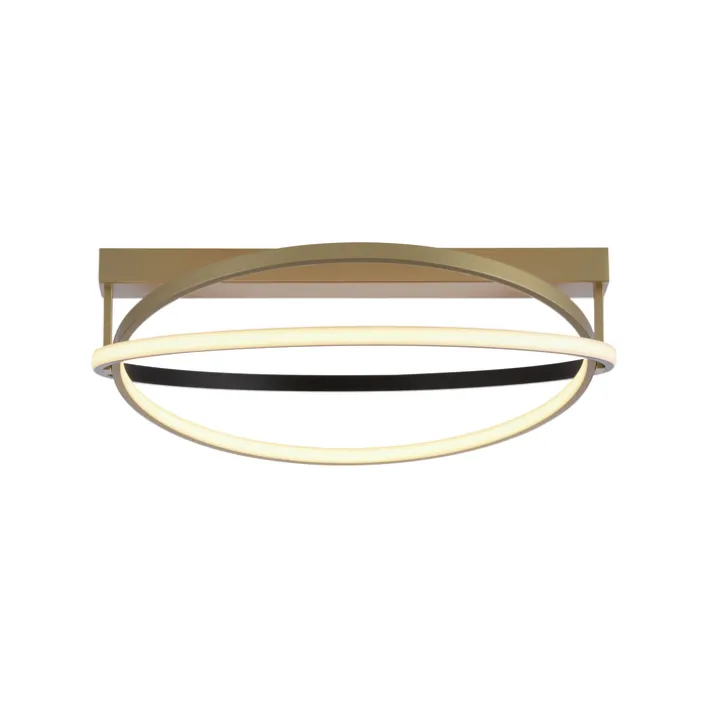 Paul Neuhaus LED Deckenlampe Q-BELUGA rund Messing/ Schwarz matt