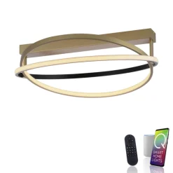 Paul Neuhaus LED Deckenlampe Q-BELUGA rund Messing/ Schwarz matt