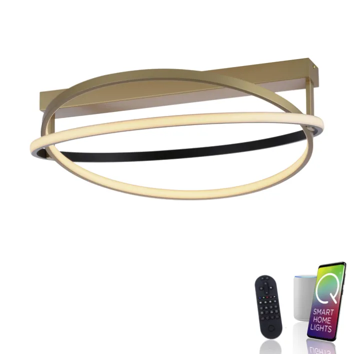 Paul Neuhaus LED Deckenlampe Q-BELUGA rund Messing/ Schwarz matt