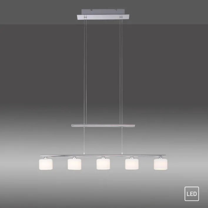 Paul Neuhaus LED Pendelleuchte HYDRA 5-flg stahlfarbig