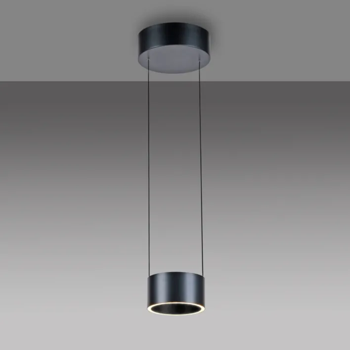 Paul Neuhaus LED Pendelleuchte PURE CLIPSE Aluminium Ø 20 cm Platin