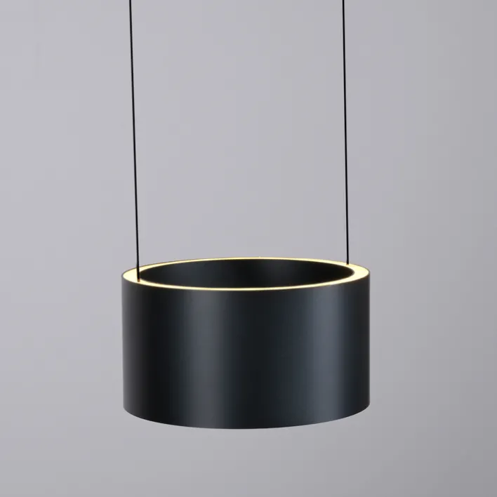 Paul Neuhaus LED Pendelleuchte PURE CLIPSE Aluminium Ø 20 cm Platin