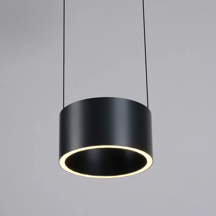 Paul Neuhaus LED Pendelleuchte PURE CLIPSE Aluminium Ø 20 cm Platin