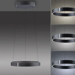 Paul Neuhaus LED Pendelleuchte PURE E-CLIPSE 50 cm grau