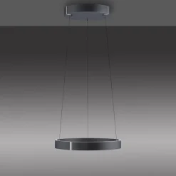 Paul Neuhaus LED Pendelleuchte PURE E-CLIPSE 50 cm grau