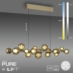 Paul Neuhaus LED Pendelleuchte E-POPUP 120 cm messingfarbig/braun