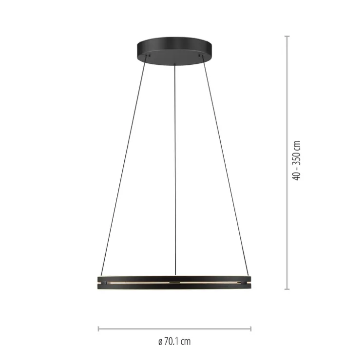 Paul Neuhaus LED Pendelleuchte PURE E-LOOP 70 cm schwarz