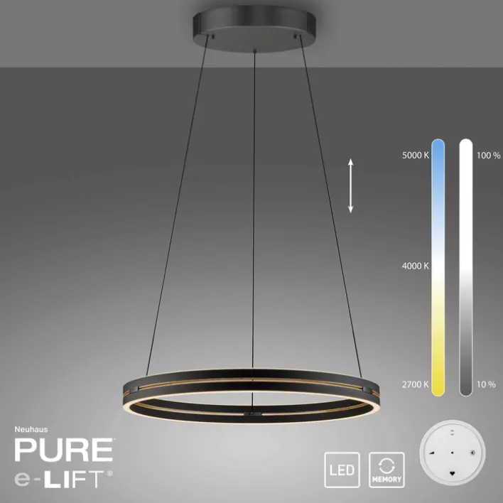 Paul Neuhaus LED Pendelleuchte PURE E-LOOP 70 cm schwarz