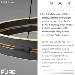Paul Neuhaus LED Pendelleuchte PURE E-LOOP 70 cm schwarz