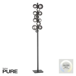 Paul Neuhaus LED Stehlampe PURE POPUP 12-flg grau