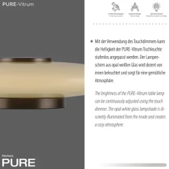 Paul Neuhaus LED Tischlampe PURE VITRUM 32 cm braun