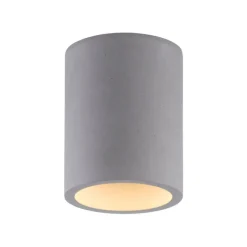 Paul Neuhaus Retrofit Deckenlampe ETON 11 cm beton