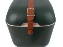 Polarbox Kühlbox 20 Liter Kunststoff dunkelgrün/goldfarbig