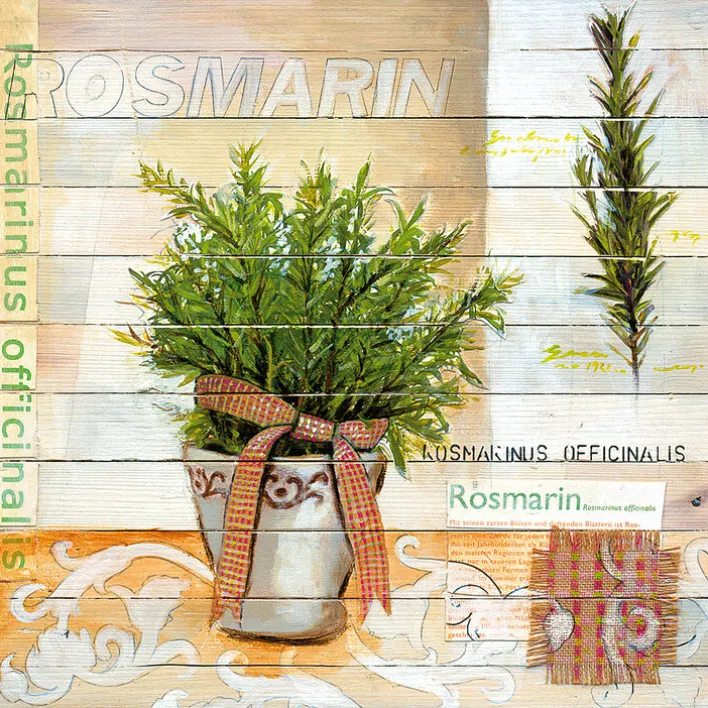 PRO ART Basic cellophaniert Bild SWEET HERBS I ROSMARIN 25 x 25 cm mehrfarbig