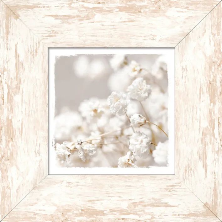 PRO ART Bild mit Rahmen MEADOW FLOWERS II 34 x 34 cm