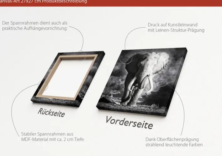 PRO ART Canvas-Art Bild GREY ELEPHANT HEAD 27 x 27 cm schwarz/ weiß