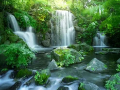 PRO ART Canvas-Art Young Living FOREST & WATERFALL I 60 x 80 cm mehrfarbig